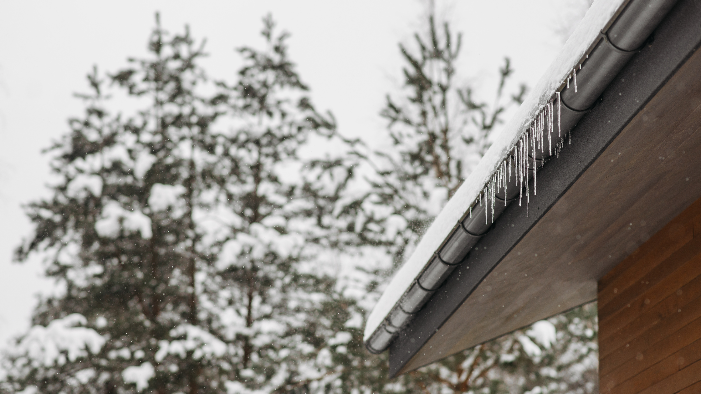 Spring Thaw: 10 Tips to Protect Your Home and Property