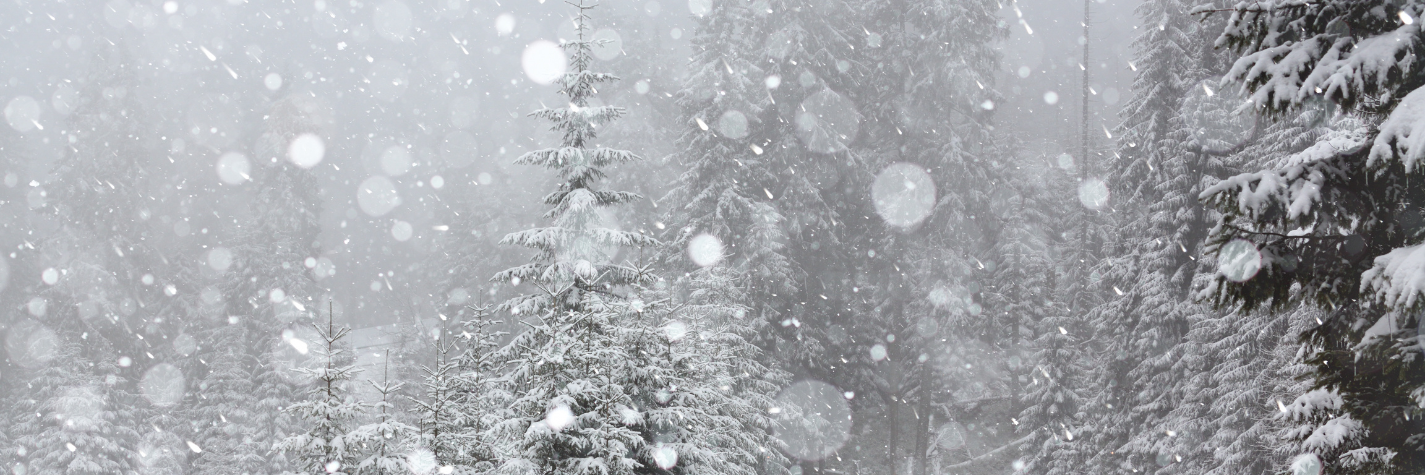 Winter 2025 | Message From The President