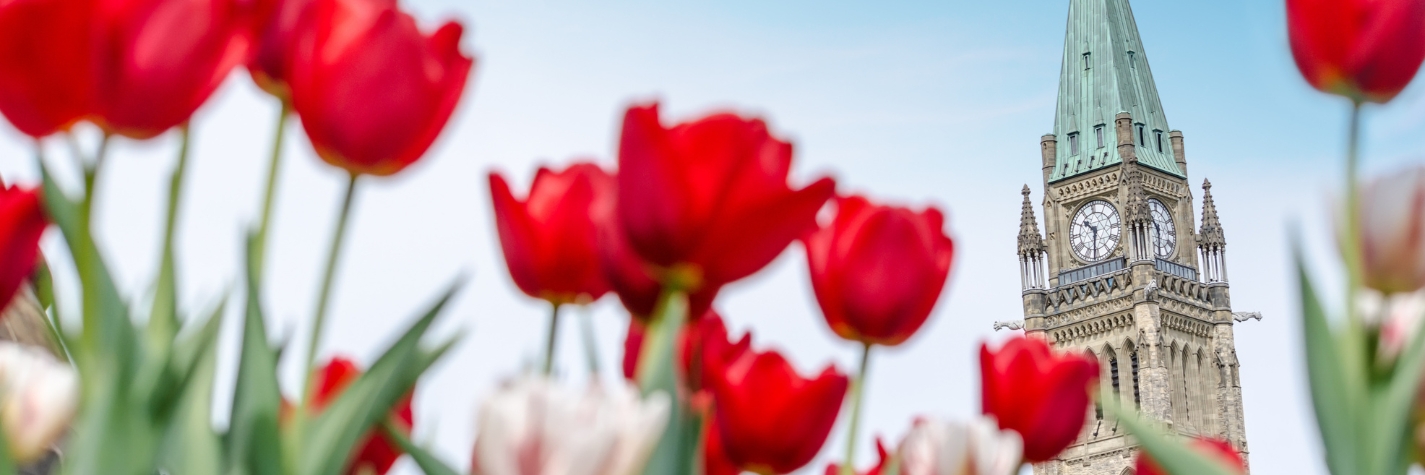 Spring 2026 | Message From The President